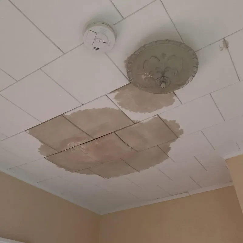 Ceiling Water Damage Repair in Williamstown, VT