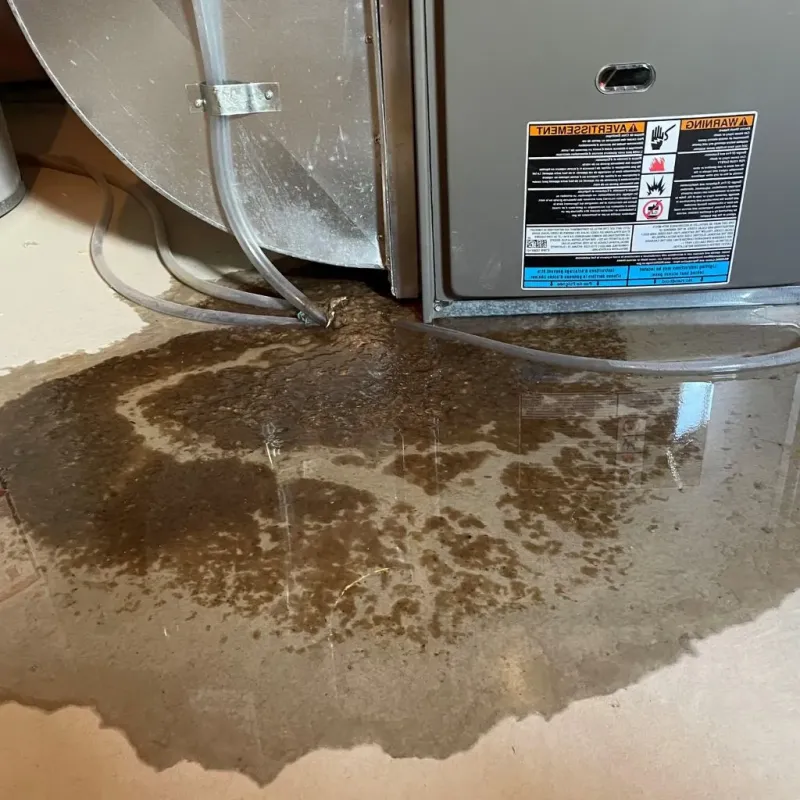 Pipe Burst and Leak Restoration in Williamstown, VT