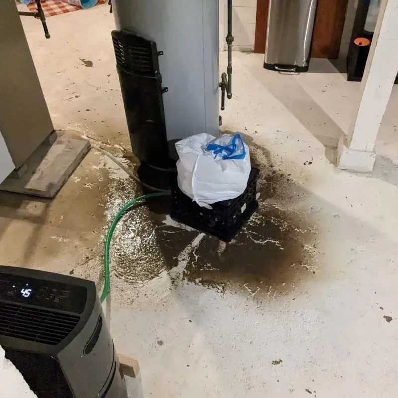Sewage Backup Cleanup Service in Williamstown, VT